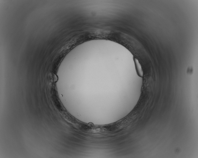 X0000091890752200710031802
