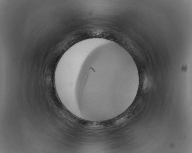 X0000091890754200710031802