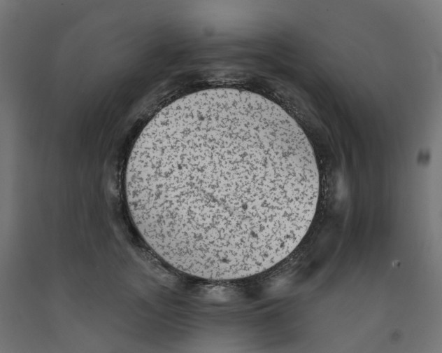 X0000091890755200710031802