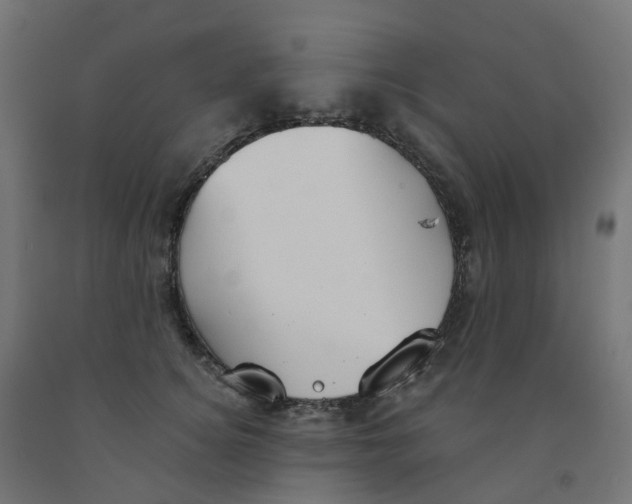 X0000091890756200710031802