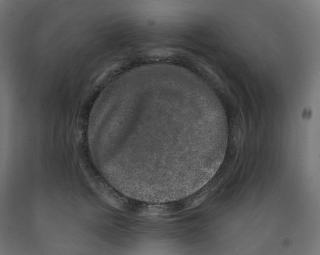 X0000091890758200710031802