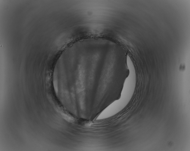 X0000091890759200710031802