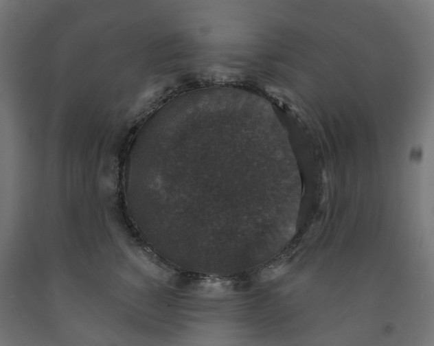 X0000091890760200710031802