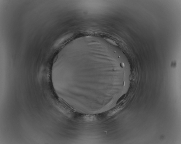 X0000091890762200710031802