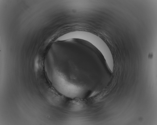 X0000091890763200710031802