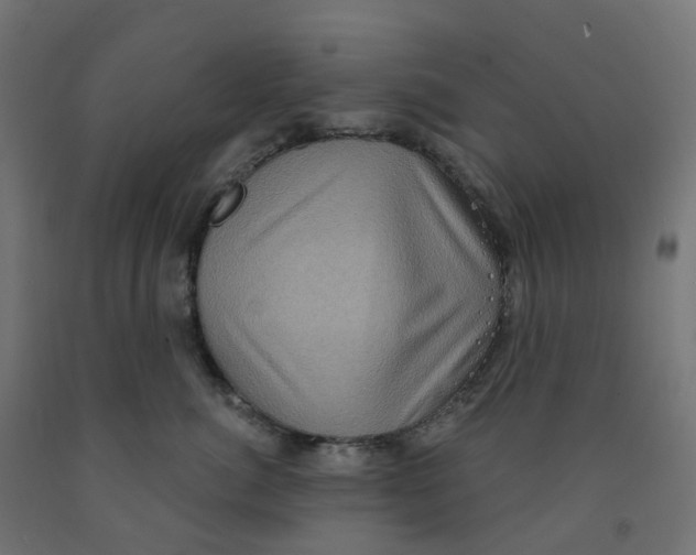X0000091890764200710031802