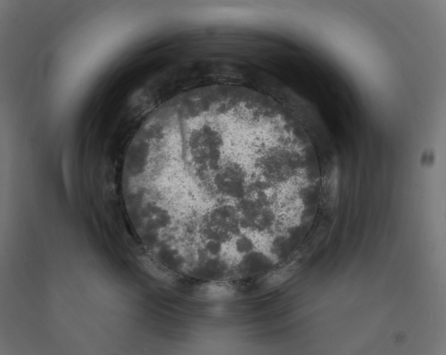X0000091890765200710031802