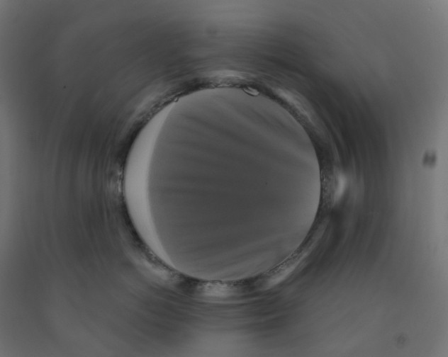 X0000091890766200710031802