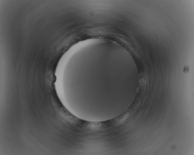 X0000091890767200710031802
