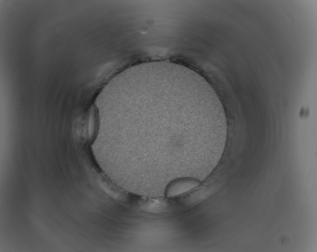 X0000091890768200710031802