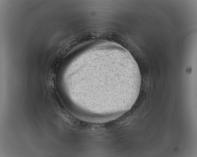 X0000091890770200710031802