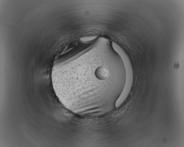 X0000091890771200710031802