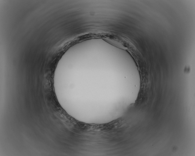 X0000091890773200710031802