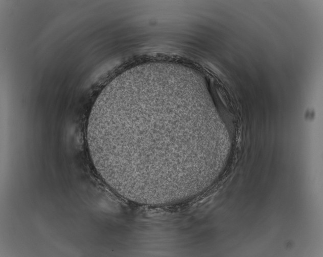 X0000091890774200710031802