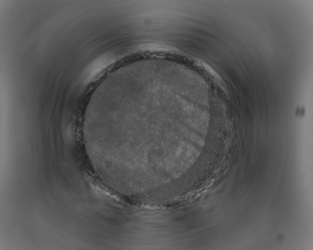 X0000091890775200710031802