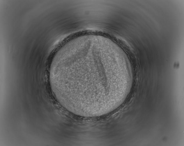 X0000091890776200710031802