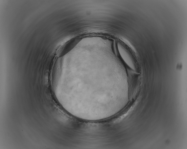X0000091890777200710031802