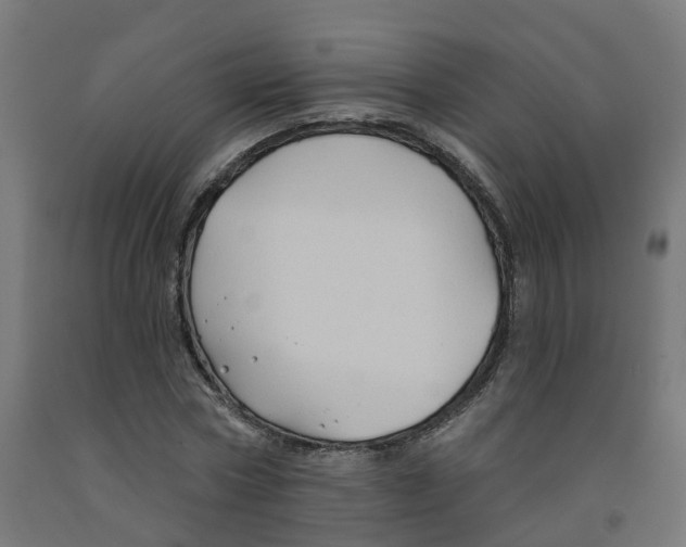 X0000091890778200710031802