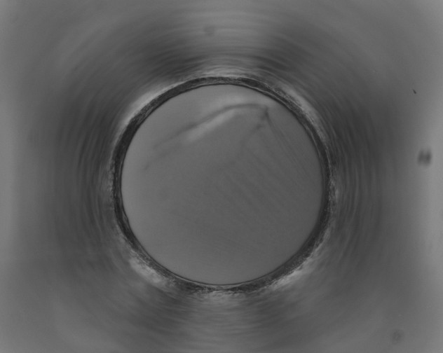 X0000091890779200710031802