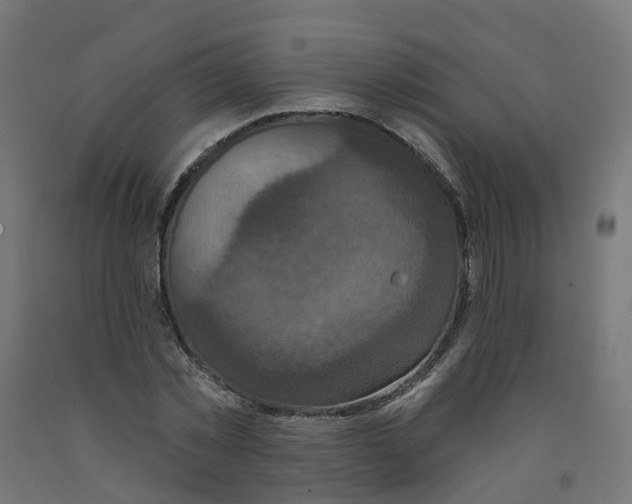 X0000091890781200710031802