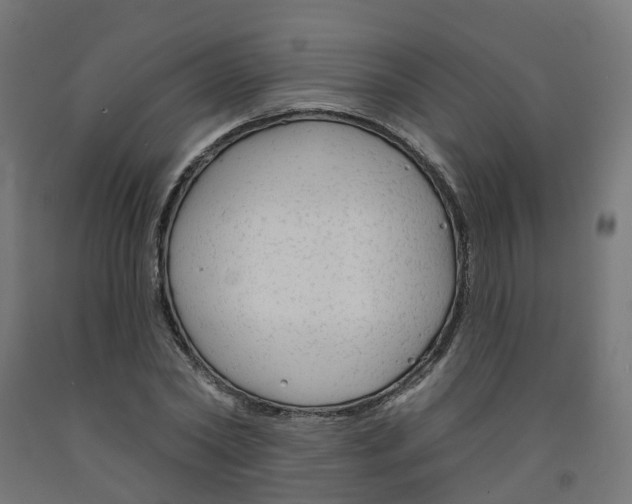 X0000091890782200710031802