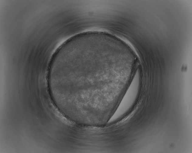 X0000091890783200710031802