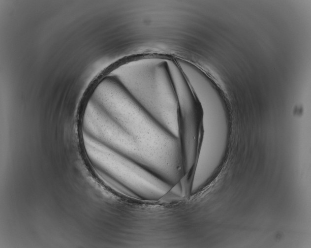 X0000091890784200710031802