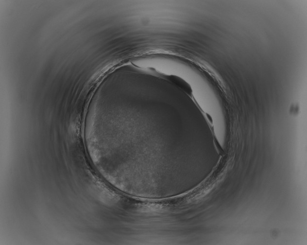X0000091890785200710031802