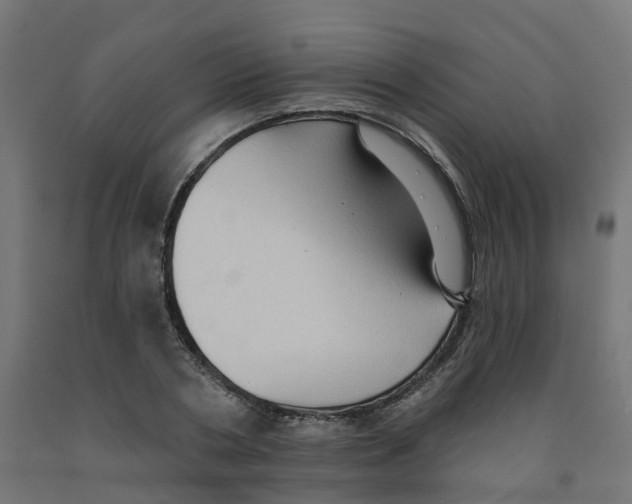 X0000091890786200710031801