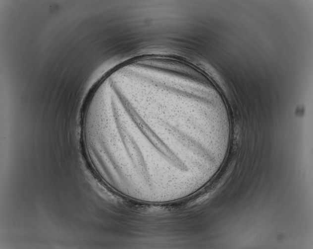 X0000091890787200710031801