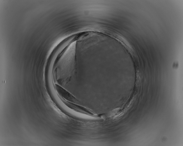 X0000091890788200710031801