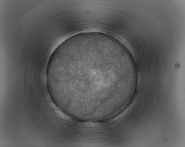 X0000091890789200710031801