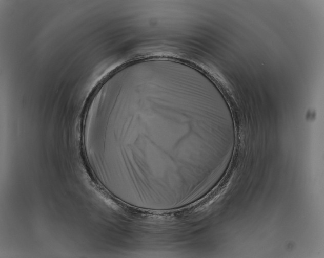 X0000091890790200710031801