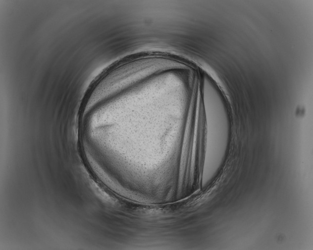 X0000091890791200710031801