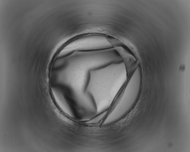 X0000091890792200710031801