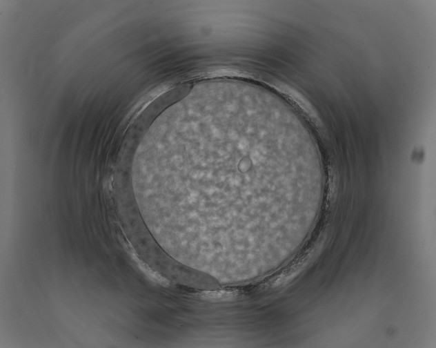 X0000091890793200710031801