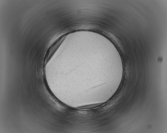 X0000091890794200710031801