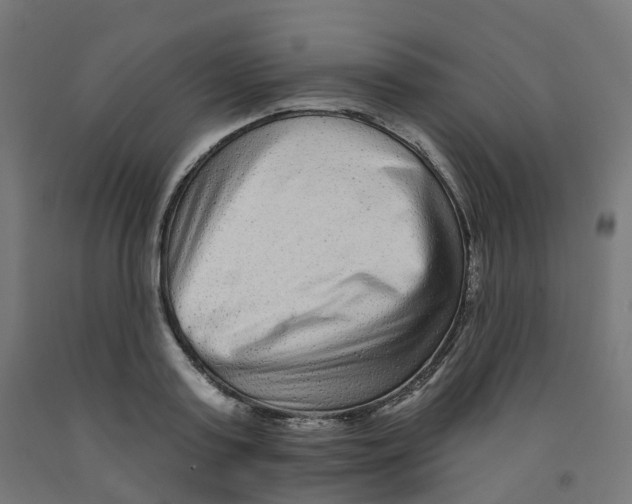 X0000091890795200710031801