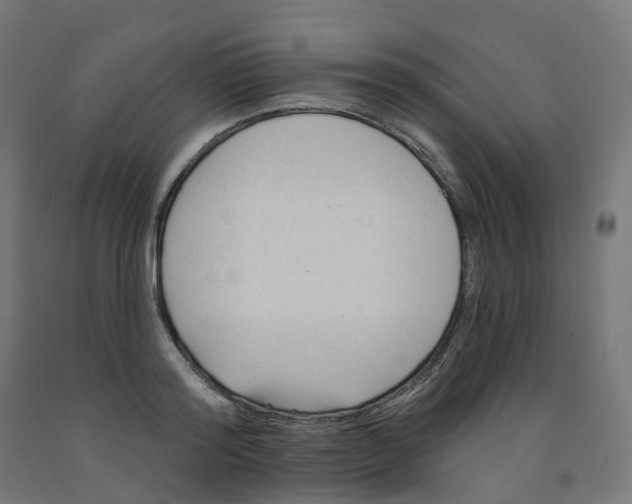 X0000091890796200710031801