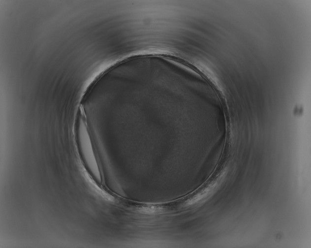 X0000091890797200710031801