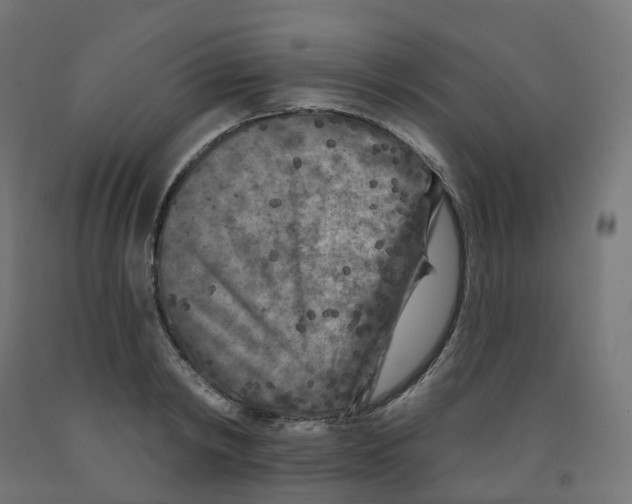 X0000091890798200710031801