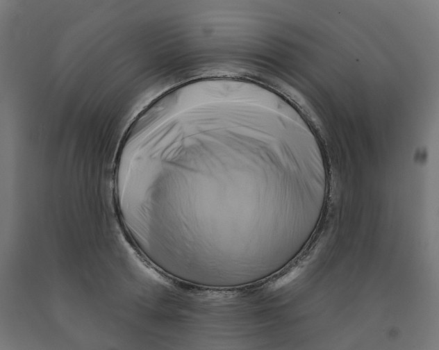 X0000091890802200710031801