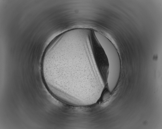 X0000091890803200710031801