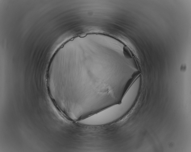 X0000091890806200710031801