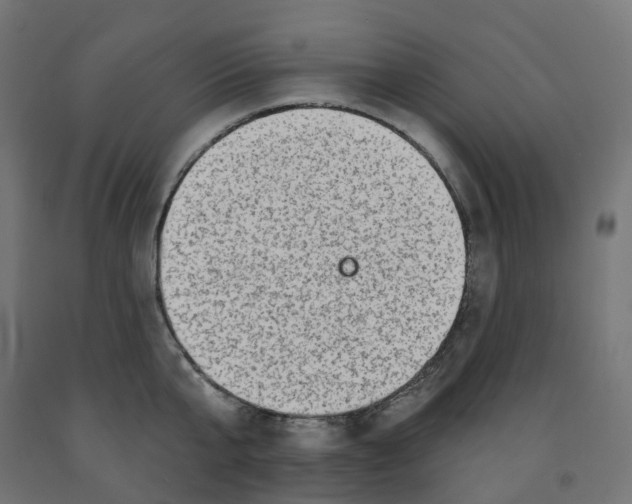 X0000091890807200710031801