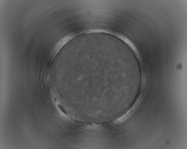 X0000091890809200710031801