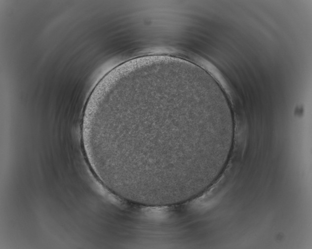 X0000091890810200710031801