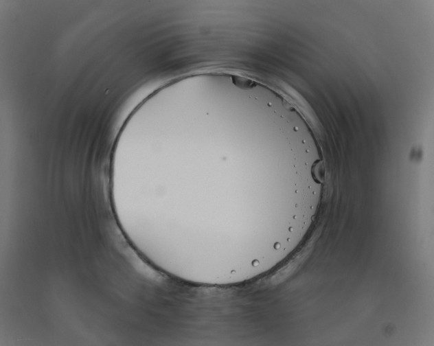 X0000091890812200710031801