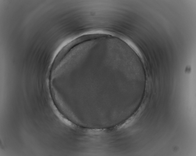 X0000091890813200710031801
