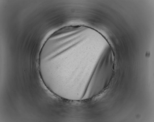 X0000091890815200710031801